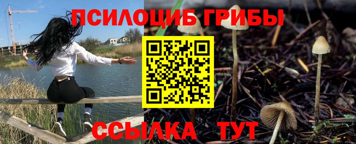 Галлюциногенные грибы GOLDEN TEACHER  Псилоцибиновые грибы MAGIC MUSHROOMS  Димитровград  Вход с VPN 